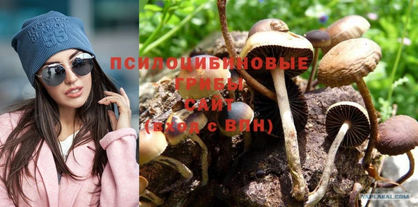 хмурый Абинск