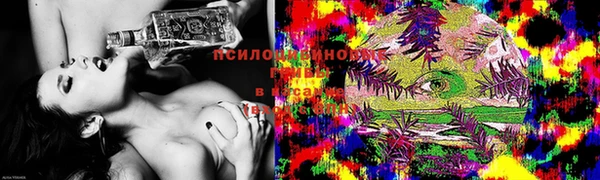 хмурый Абинск