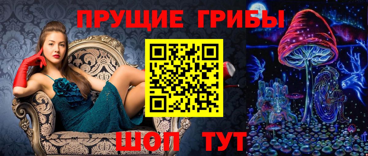 Балахна  Галлюциногенные грибы прущие грибы  Вход с VPN 