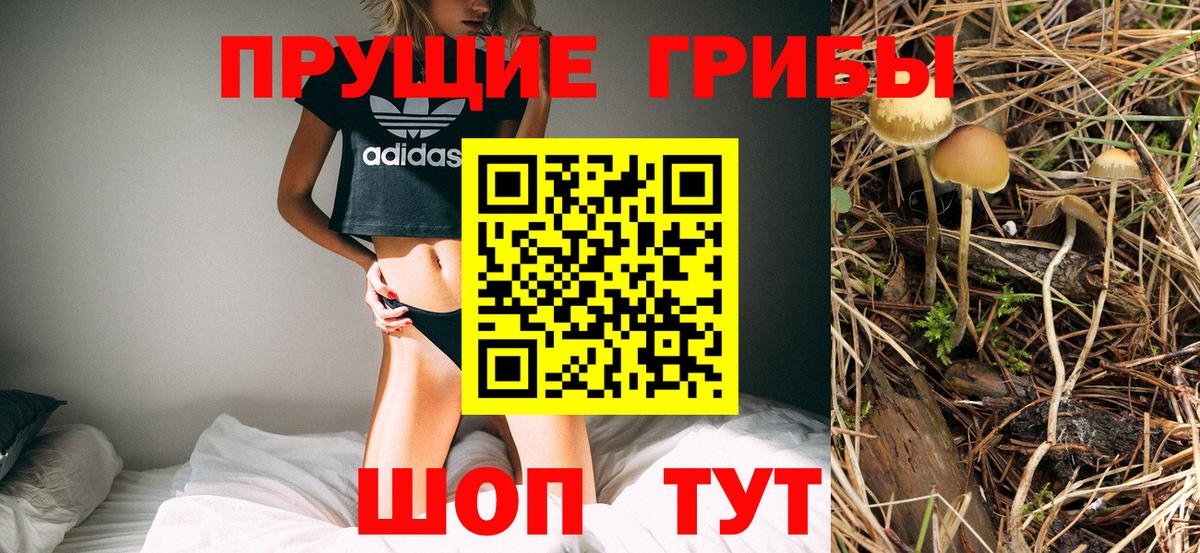 Псилоцибиновые грибы Magic Shrooms Балахна