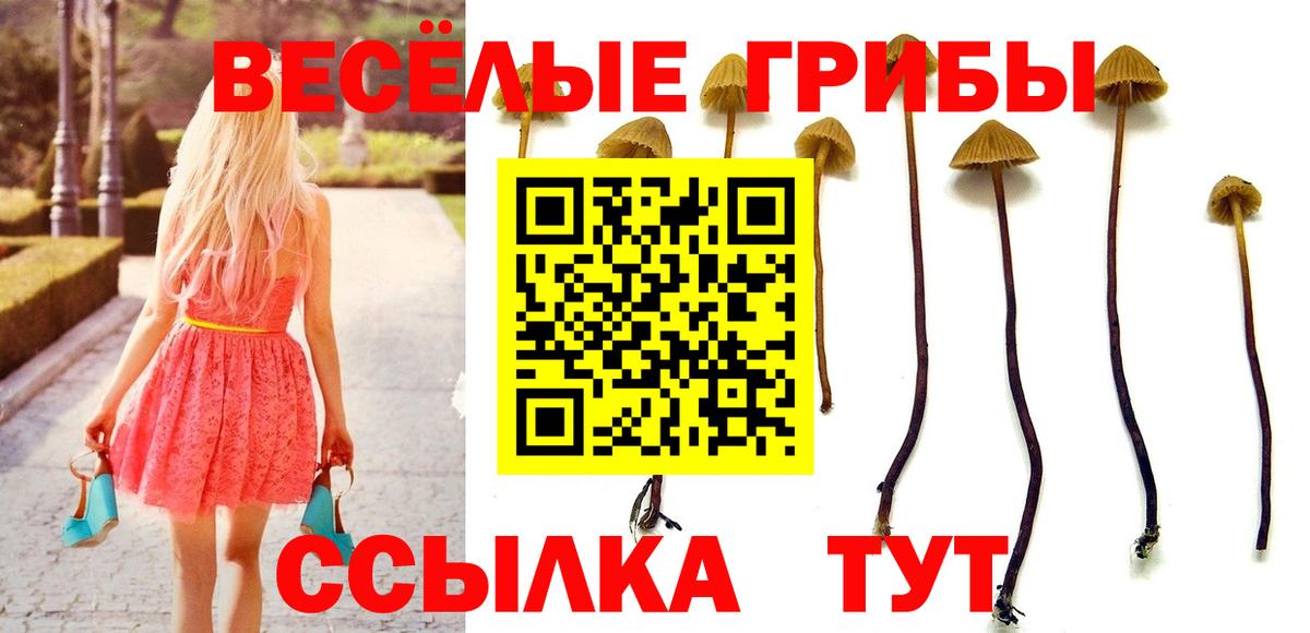Галлюциногенные грибы Magic Shrooms Балахна